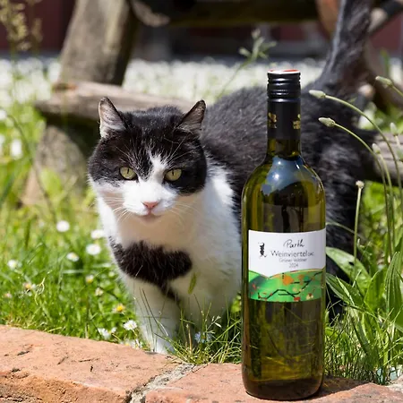 בית הארחה Weingut Zur Schlafmuetze